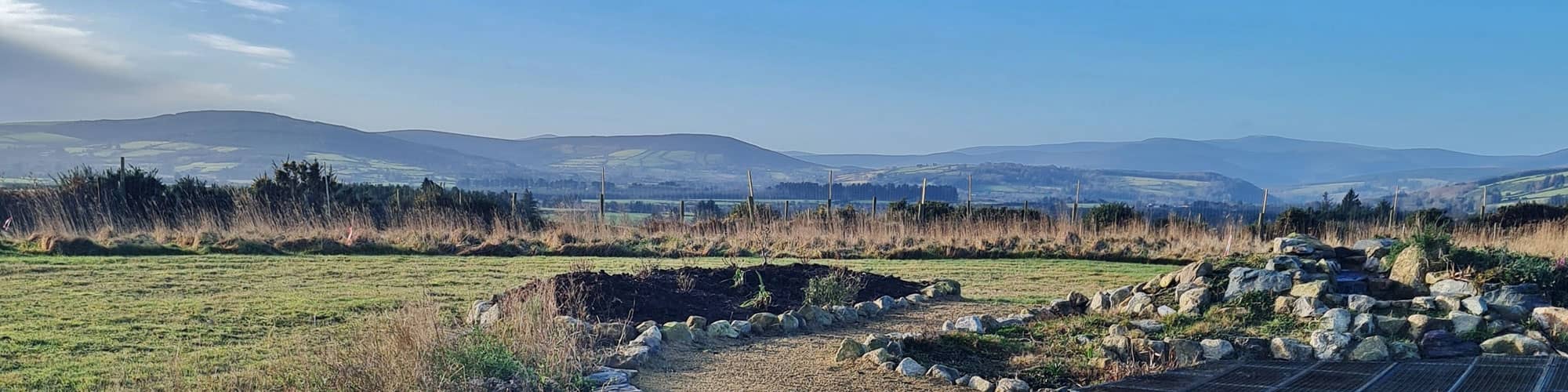 Fields and woodland in Ireland