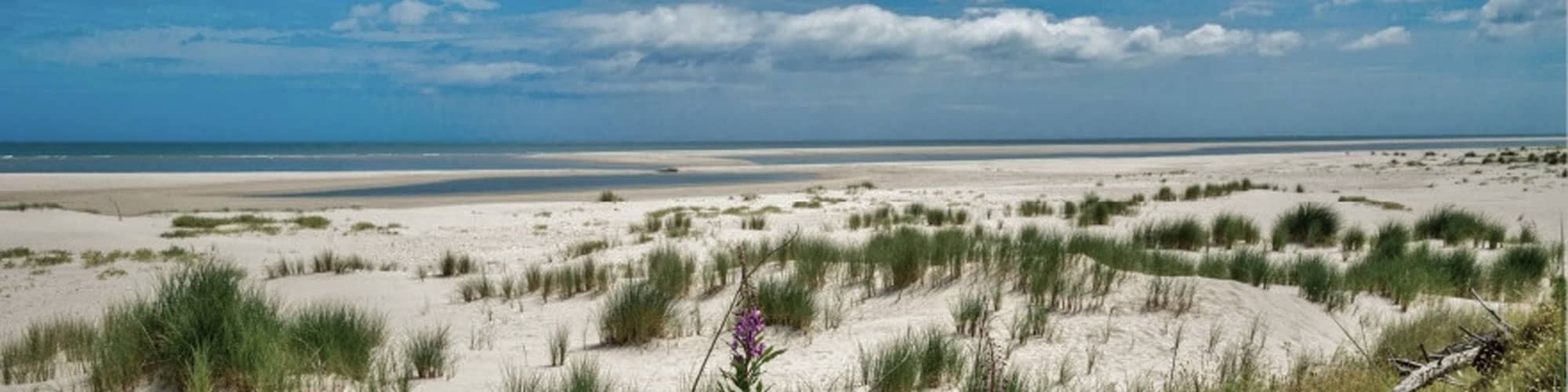 Sandy beach in Ireland
