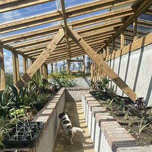 Interior of greenhouse